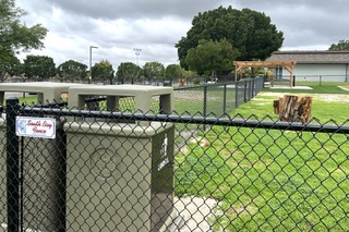 Black chain link park fence