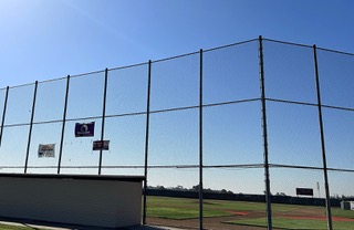 Baseball field backstop