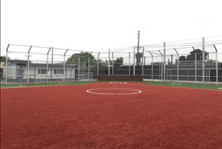 Baseball field backstop with turf
