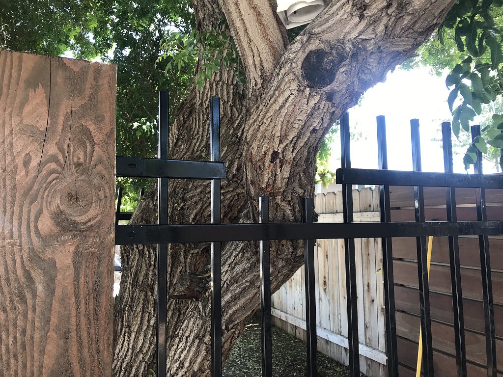 Custom iron fence with wood posts
