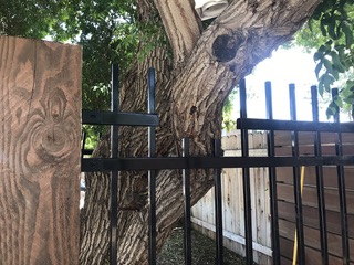 Custom iron fence with wood posts